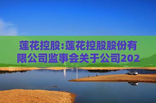 莲花控股:莲花控股股份有限公司监事会关于公司2024年股票期权与限制性股票激励计划激励对象名单的审核意见及公示情况说明