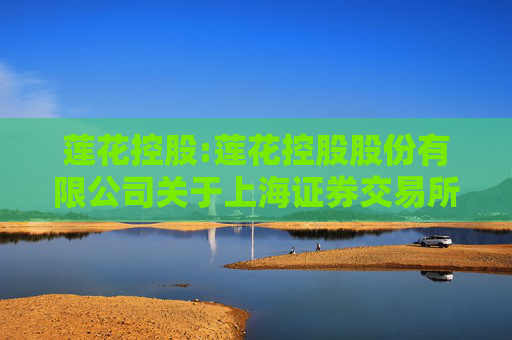 莲花控股:莲花控股股份有限公司关于上海证券交易所对公司股票期权激励计划相关事项的问询函的回复公告