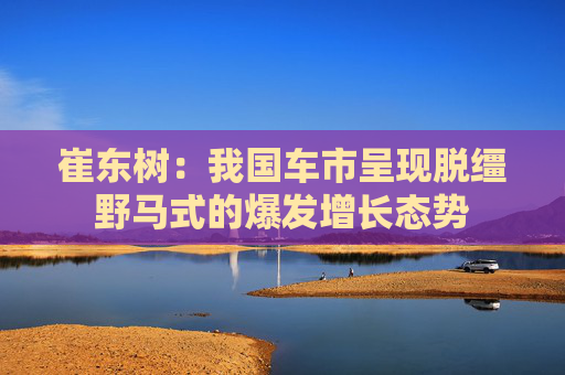 崔东树：我国车市呈现脱缰野马式的爆发增长态势
