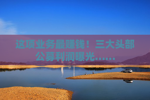 这项业务最赚钱！三大头部公募利润曝光……