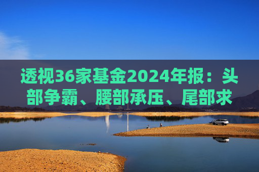 透视36家基金2024年报：头部争霸、腰部承压、尾部求生