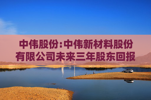 中伟股份:中伟新材料股份有限公司未来三年股东回报规划（2024-2026年）