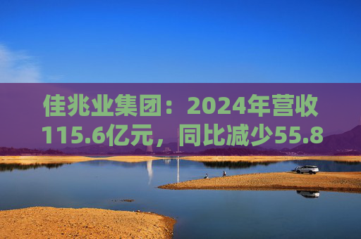 佳兆业集团：2024年营收115.6亿元，同比减少55.8%