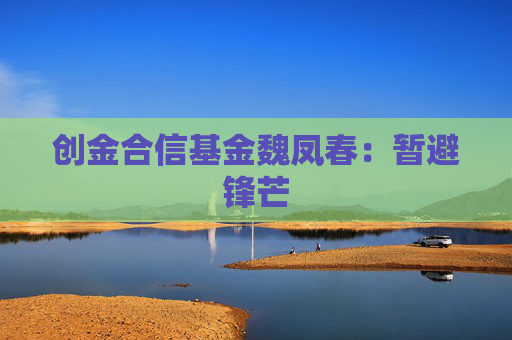 创金合信基金魏凤春：暂避锋芒