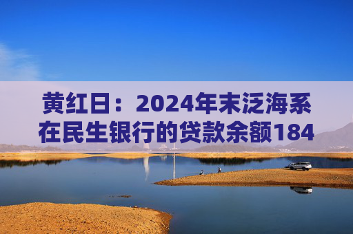 黄红日：2024年末泛海系在民生银行的贷款余额184.84亿元，泛海控股已不再是主要股东