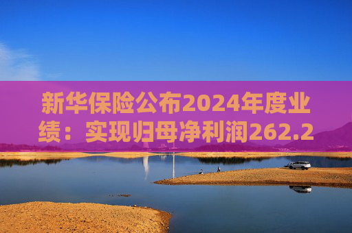 新华保险公布2024年度业绩：实现归母净利润262.29亿元 同比增长201.1%