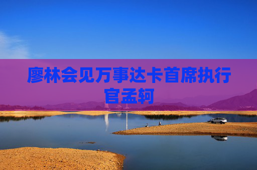 廖林会见万事达卡首席执行官孟轲