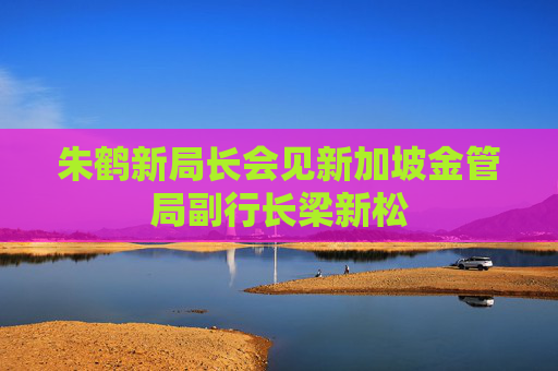 朱鹤新局长会见新加坡金管局副行长梁新松
