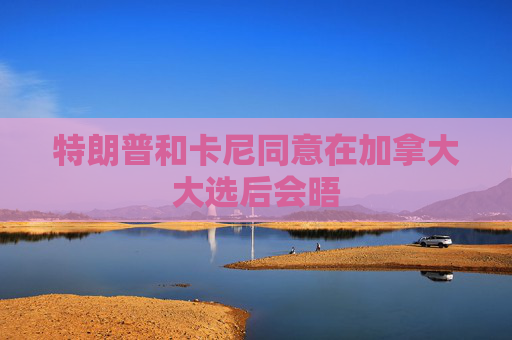 特朗普和卡尼同意在加拿大大选后会晤