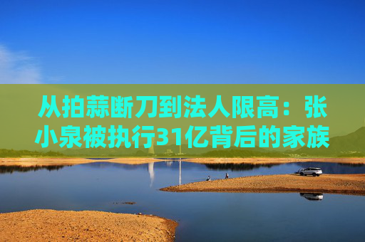 从拍蒜断刀到法人限高：张小泉被执行31亿背后的家族企业治理黑洞