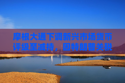 摩根大通下调新兴市场货币评级至减持，因特朗普关税超过最坏预期
