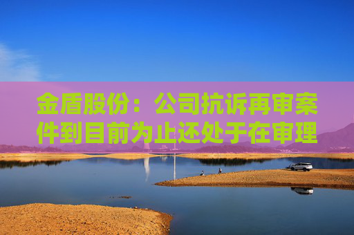 金盾股份：公司抗诉再审案件到目前为止还处于在审理状态