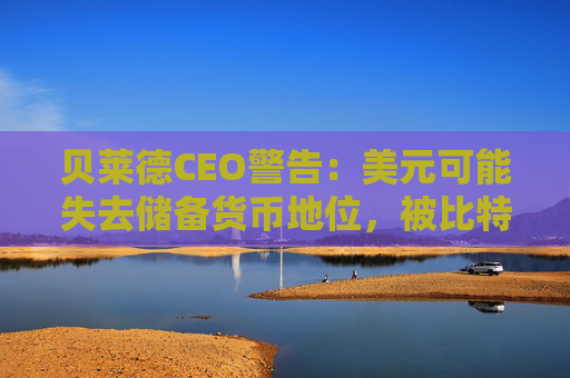 贝莱德CEO警告：美元可能失去储备货币地位，被比特币取代
