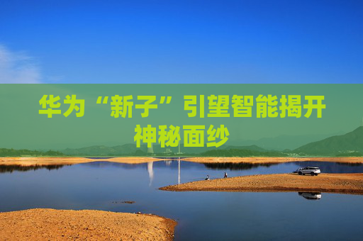 华为“新子”引望智能揭开神秘面纱