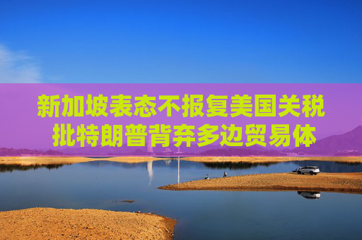 新加坡表态不报复美国关税 批特朗普背弃多边贸易体系