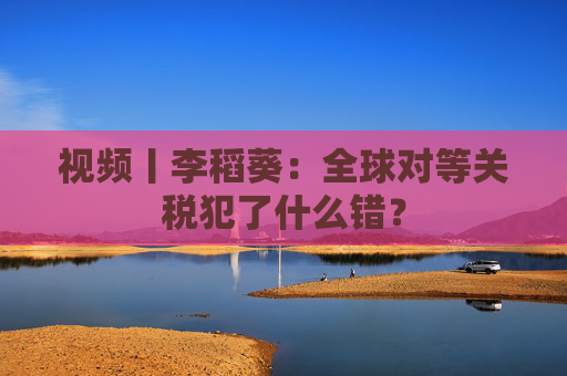 视频丨李稻葵：全球对等关税犯了什么错？