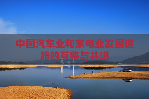 中国汽车业和家电业发展道路的互鉴与共进
