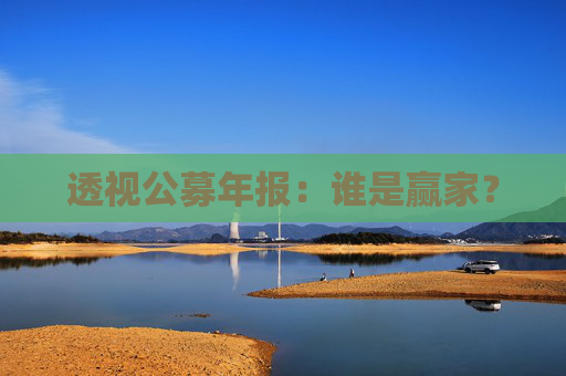 透视公募年报：谁是赢家？