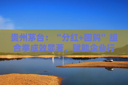 贵州茅台：“分红+回购”组合拳成效显著，赋能企业行稳致远