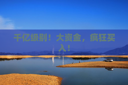 千亿级别！大资金，疯狂买入！