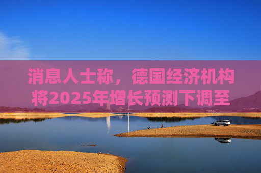 消息人士称，德国经济机构将2025年增长预测下调至0.1%