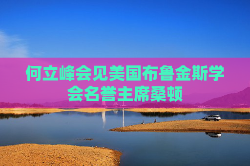 何立峰会见美国布鲁金斯学会名誉主席桑顿