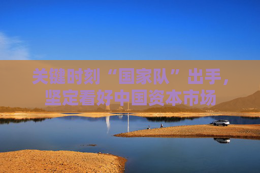 关键时刻“国家队”出手，坚定看好中国资本市场