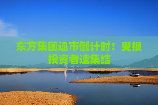 东方集团退市倒计时！受损投资者速集结