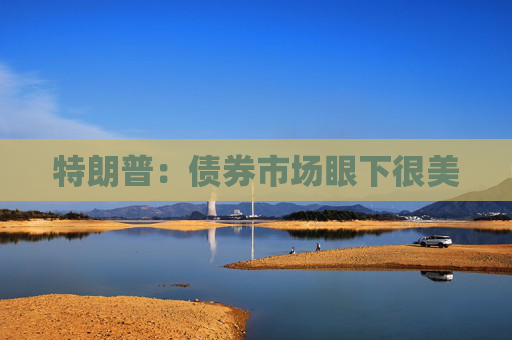 特朗普：债券市场眼下很美