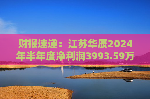 财报速递：江苏华辰2024年半年度净利润3993.59万元