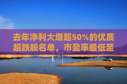 去年净利大增超50%的优质超跌股名单，市盈率最低至个位数