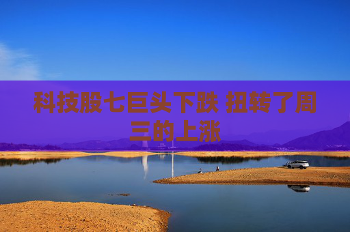 科技股七巨头下跌 扭转了周三的上涨