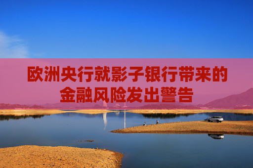 欧洲央行就影子银行带来的金融风险发出警告