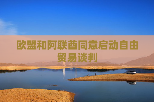 欧盟和阿联酋同意启动自由贸易谈判