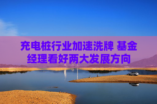 充电桩行业加速洗牌 基金经理看好两大发展方向