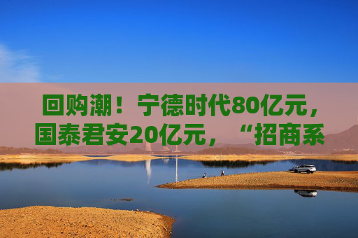 回购潮！宁德时代80亿元，国泰君安20亿元，“招商系”7家公司齐发公告提速回购