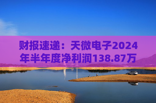 财报速递：天微电子2024年半年度净利润138.87万元