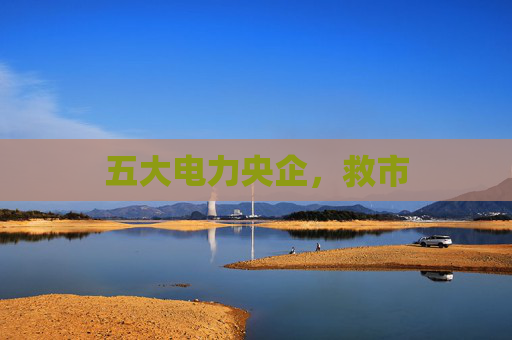 五大电力央企，救市