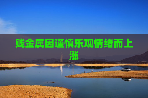 贱金属因谨慎乐观情绪而上涨