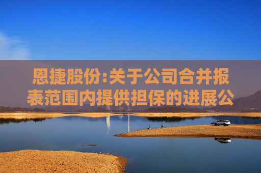 恩捷股份:关于公司合并报表范围内提供担保的进展公告