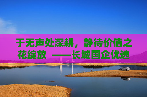 于无声处深耕，静待价值之花绽放  ——长城国企优选基金经理储雯玉致投资者的一封信