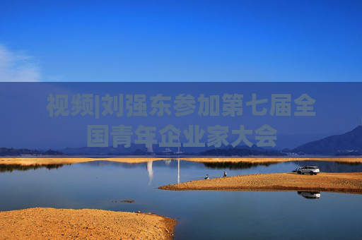 视频|刘强东参加第七届全国青年企业家大会