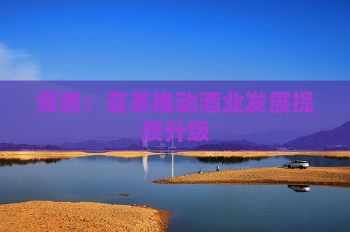 黄勇：变革推动酒业发展提质升级