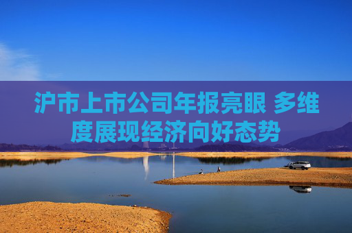 沪市上市公司年报亮眼 多维度展现经济向好态势