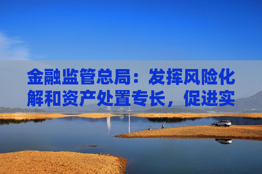 金融监管总局：发挥风险化解和资产处置专长，促进实体经济健康发展
