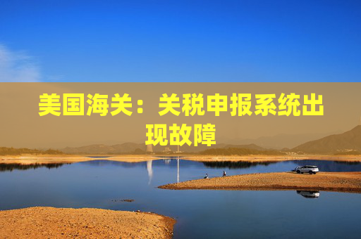 美国海关：关税申报系统出现故障