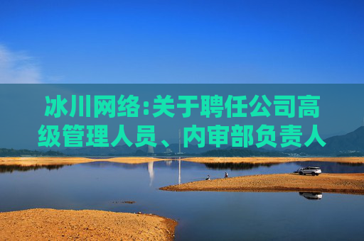 冰川网络:关于聘任公司高级管理人员、内审部负责人、证券事务代表的公告