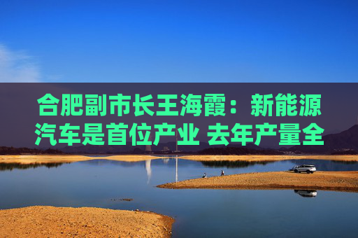 合肥副市长王海霞：新能源汽车是首位产业 去年产量全国第二