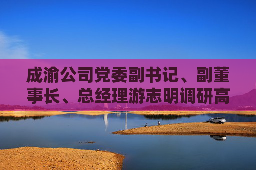 成渝公司党委副书记、副董事长、总经理游志明调研高速公路收费管理及绿色能源业务