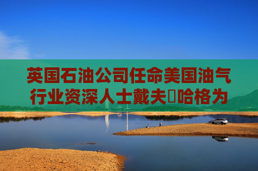 英国石油公司任命美国油气行业资深人士戴夫・哈格为非执行董事